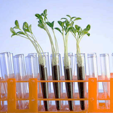 Welcome New Food Agriculture, Gastronomy & Food Trade. Welcome New Stuttgart!