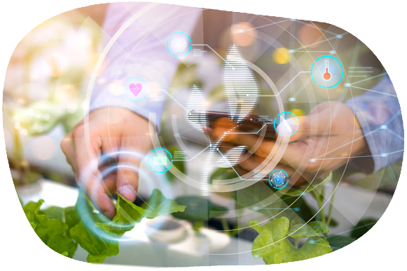 Stolperfallen auf dem Weg zum Lebensmittelunternehmer