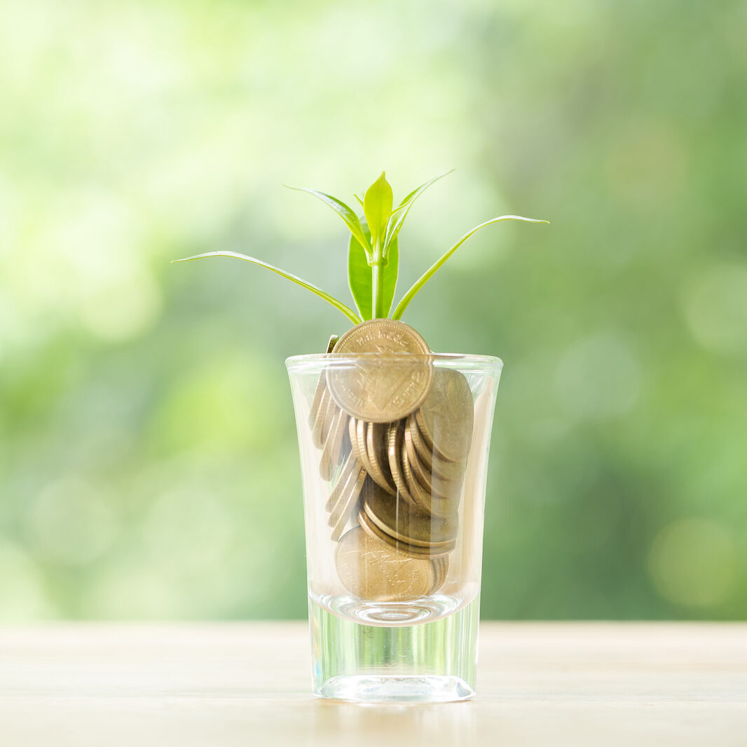 Investor meets Startup